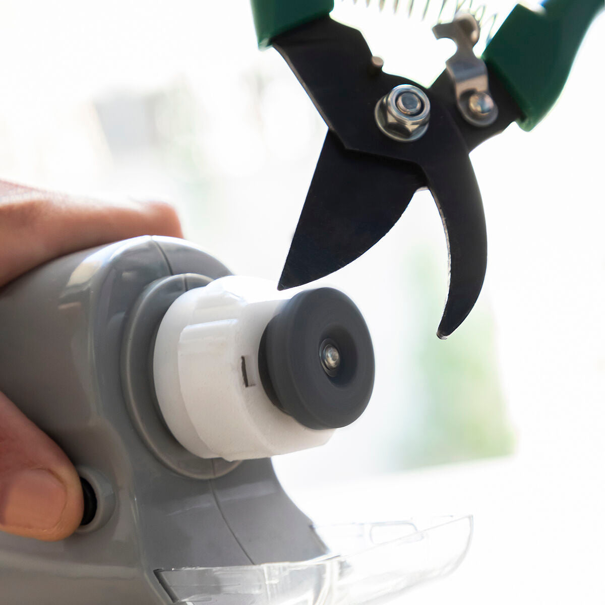 V13HCCE91DA1FD7936FECBA8DD6BD7581FA1R5264772P6